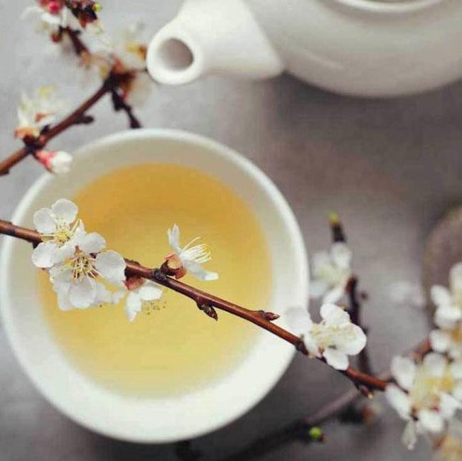 Green Bamboo Teacup  The Fragrant Leaf Tea Albuquerque